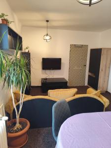 a living room with a couch and a tv at Apartman Elizabeth in Pardubice