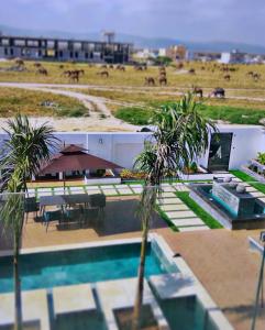 a resort with palm trees and a swimming pool at The W Luxury Chalet in Salalah