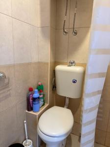 a small bathroom with a toilet and a shower at Power view in Bečići +6 photos
