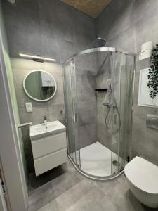 a bathroom with a shower and a toilet and a sink at Apartament Zbąszynek in Zbąszynek +18 photos