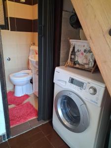 a washing machine in a bathroom with a toilet at Srce Prirode in Pljevlja