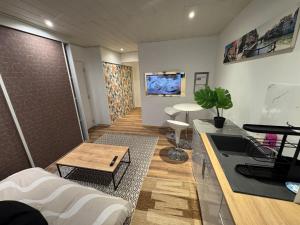 a living room with a couch and a table at Studio au rdc cœur de ville 1 in Sélestat +2 photos