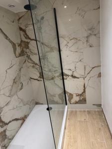 a shower in a bathroom with a marble wall at Studio au rdc cœur de ville 1 in Sélestat