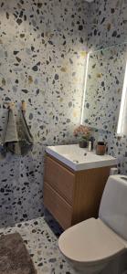 a bathroom with a toilet and a sink at Lösen Retreat in Lyckeby