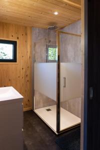 a shower with a glass door in a bathroom at Gîte de la Bridolée, sauna et bain nordique in Lorquin +54 photos