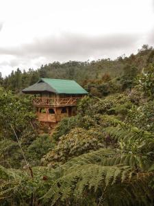 una casa en el árbol en medio de un bosque en Hotel Guatape Adrianas Bambu, en Guatapé