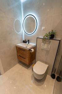 a bathroom with a toilet and a sink and a mirror at The Nest Otočac in Otočac +25 photos