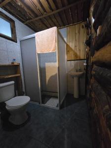 a bathroom with a toilet and a shower and a sink at Refugio de la Montaña 2 personas in Coñaripe