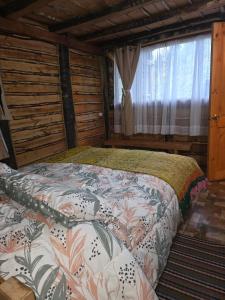 a bedroom with a bed in a room with a window at Refugio de la Montaña 2 personas in Coñaripe