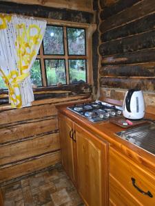 a kitchen with a stove in a log cabin at Refugio de la Montaña 2 personas in Coñaripe +29 photos