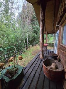 a porch of a cabin with a tree at Refugio de la Montaña 2 personas in Coñaripe