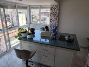 a kitchen with a counter with potted plants on it at Golden Age Rooftop Apartment in Ohrid