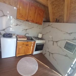 a small kitchen with a stove and a refrigerator at Hasan's Place Temnjaci in Plav