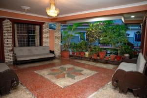 a living room with a couch and some plants at Admire Hotel Pvt Ltd in Pokhara