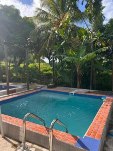 a swimming pool with blue water and palm trees at The Jungle Escape Apartment 02 in Soufrière