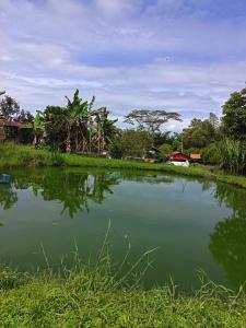 a pond in a village with trees and buildings at Altos de Shalem casa canaan in Anolaima