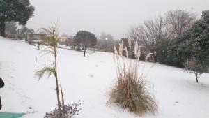 a snow covered yard with trees and bushes at Casablanca in Huerta Grande +6 photos