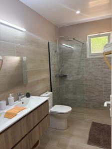 a bathroom with a shower and a toilet and a sink at Évasion Caraïbes in Ducos