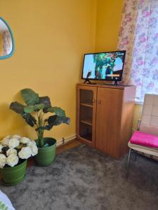 a living room with a tv on a cabinet and a plant at Apartament Wiejska 5a in Ciechocinek