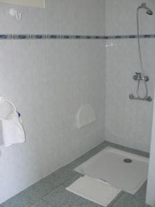 a shower stall with a toilet in a bathroom at Hotel Restaurant Le Bourgneuf in Morlaas