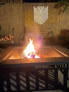 a fire pit with a cat sitting in it at Cabañas Torres del Sol in Vicuña