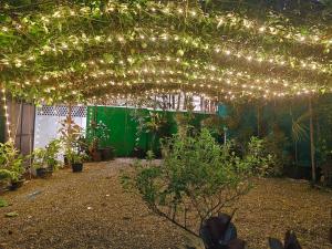 a pergola with lights and plants in a garden at Dver Prirody in Kovalam