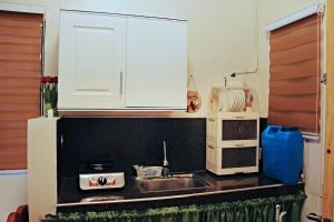 a small kitchen with a sink and a microwave at G & B Transient House in San Jose +21 photos