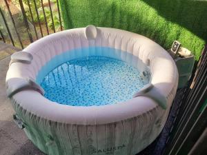 a small pool of water in an inflatablelatable dog at Almendro house playa Panamá in Playa Panama