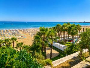a view of a beach with palm trees and umbrellas at Villa del Mare Virgo Home in Nettuno