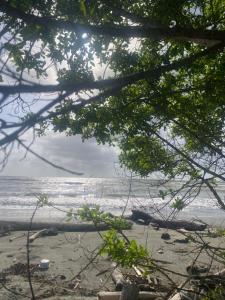a view of the beach from under a tree at Villa Neluc in San Bernardo del Viento +1 photo