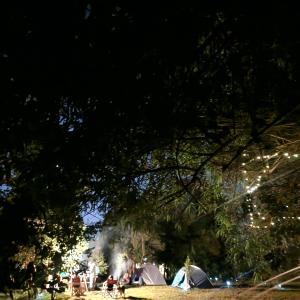 a group of people sitting under a tree at night at Camping Monteluz Lago Ranco in Lago Ranco