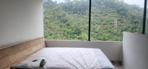 a bed in a room with a large window at Villa colibrí in Piñas