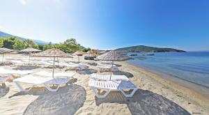 a beach with chairs and umbrellas and the water at Sare Hotel in Erdek