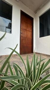 a plant in front of a house with a door at Casa completa Ecovia Ruta Luque San Bernardino in Zarate Isla