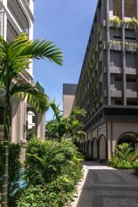 a palm tree in front of a building at Title Legendary Studio with Balcony by TVC C407 in Bang Tao Beach