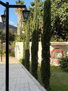 a street light with ivy covered trees in a yard at Ribera del Lago in Jocotepec