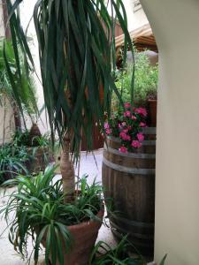 Vonkajšia záhrada v ubytovaní Locanda Scirocco