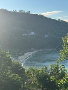 a view of a beach with trees and water at Kit Net in Governador Celso Ramos