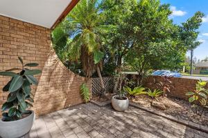 a mirror on the side of a brick wall with plants at Beach Street - Town Location - Stone Real Estate Yamba in Yamba