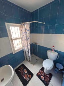 a bathroom with a toilet and a shower and a sink at djerba palm house in Mezraya