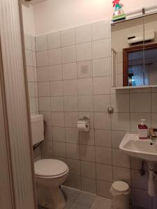 a bathroom with a toilet and a sink at Apartments Lazzarini Battiala in Nedeščina +39 photos