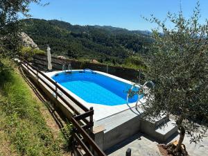 a large swimming pool in a yard with a tree at Baita Chalet del Colle in Corsanico-Bargecchia