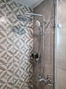 a bathroom with a shower with a glass door at Miradi Art Apartment in Stara Zagora +19 photos
