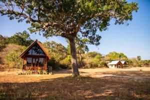 a small cabin with a tree in a field at Wild Roots Cabana Arugambay in Arugam Bay +9 photos
