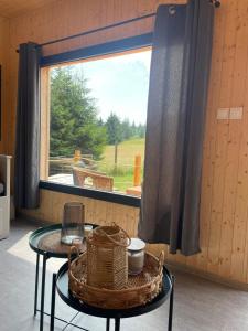 a room with a table with a basket and a window at TINY Klíny in Klíny