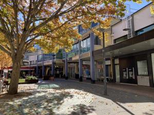 a tree in the middle of a street with buildings at Glebe Park Cityside with Style in Canberra
