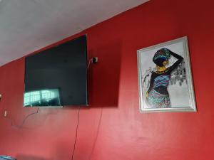 a flat screen tv on a red wall with a picture at Round Hill View Heights in Pedro Cross