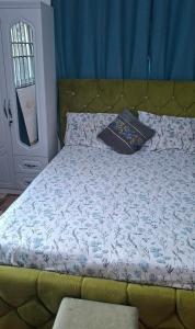 a bed with a pillow on it in a bedroom at Master Home in Baatsona +4 photos