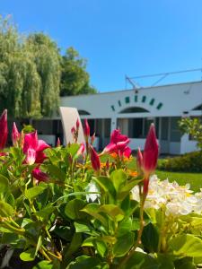 ein Busch mit rosa Blüten vor einem Haus in der Unterkunft Casa Timerar in Venus