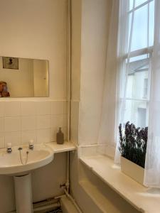 a bathroom with a sink and a window with a plant at 2 Bed Period Flat with parking in Ross on Wye +18 photos